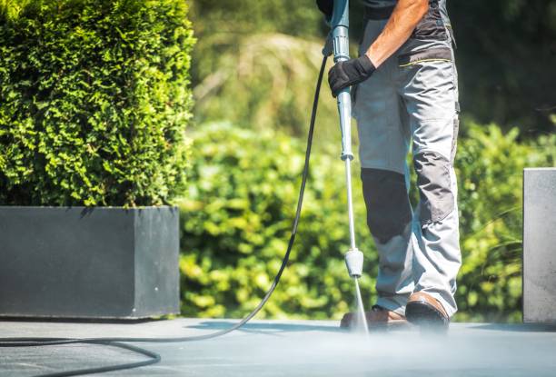 Pre-Holiday Cleaning in South River, NJ