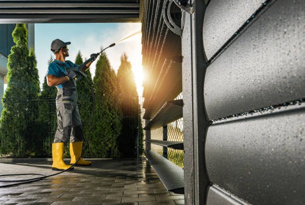 Animal Enclosure Cleaning in South River, NJ